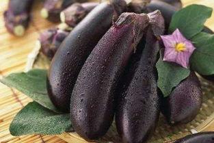 角瓜能和茄子在一起吃吗,健康搭配，美味共享