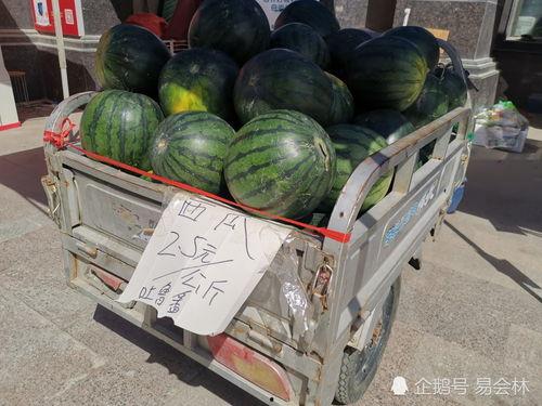 福臻小区吃瓜,吃瓜群众的热议焦点