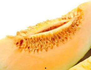 吃蜜瓜流产,甜蜜滋味，流连忘返的味蕾之旅