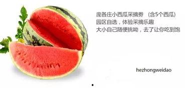 吃瓜群众的瓜味,揭秘娱乐圈那些不为人知的幕后故事