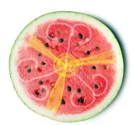 带你吃高端的瓜,带你品尝世界各地的顶级瓜果佳肴