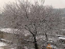 雪景拍摄吃瓜,别样冬日美食摄影之旅