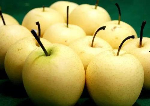 吃酉瓜可以直接吃梨吗,能否直接同食的探索