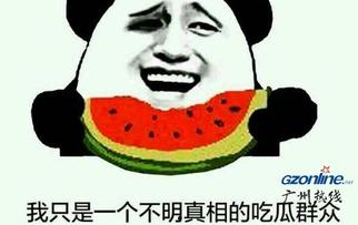 吃瓜哪来的,网络舆论场中的娱乐与真相