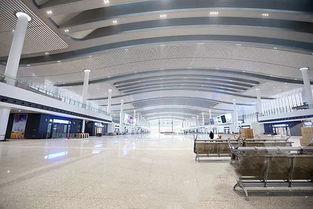 重庆西站吃瓜,美食瓜果飘香，旅客舌尖上的旅行体验