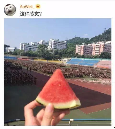 吃瓜校园学姐,吃瓜学姐带你领略校园生活百态