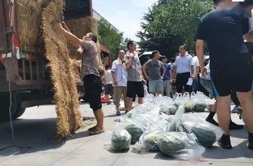 廊坊学校老师吃瓜,揭秘校园背后的“瓜田”