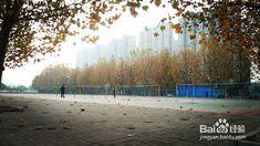 黄淮学院操场吃瓜,校园生活新风尚