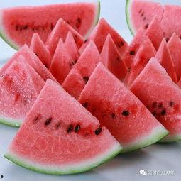 什么瓜不管吃,揭秘“不管吃生成”的神奇瓜种之谜