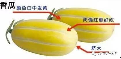 西瓜掉了路人吃瓜,路人纷纷驻足品尝