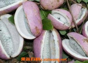 韭菜和八月瓜能一起吃吗,探究能否同食的健康之谜